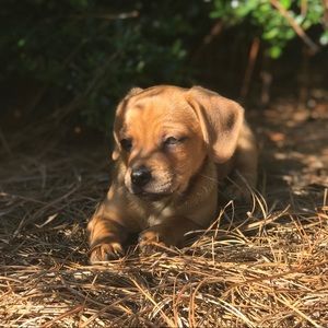 Meet your Posher, Claire